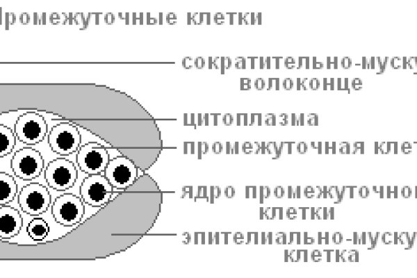 Kra40.at