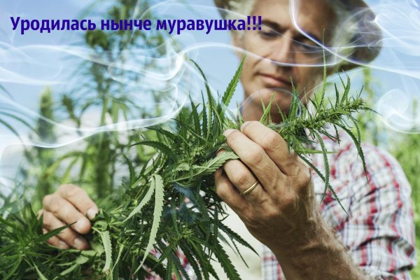 Кракен безопасный вход