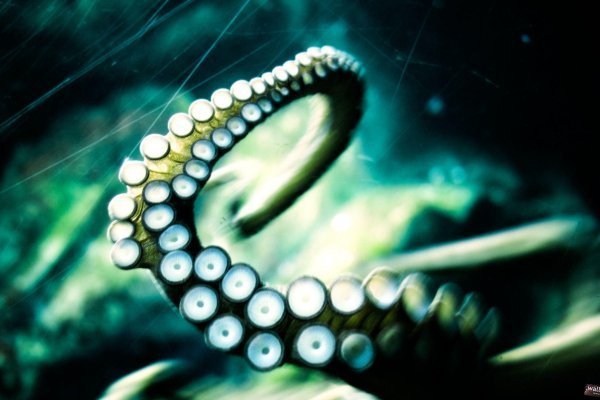 Craken что это
