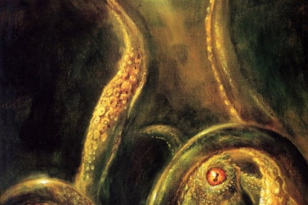 Kraken это
