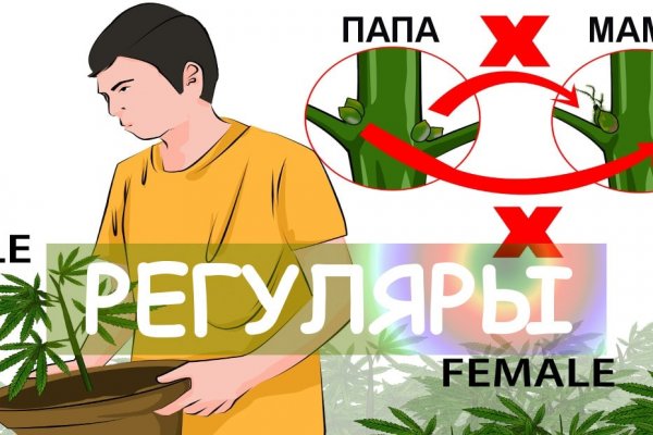 Кракен вход