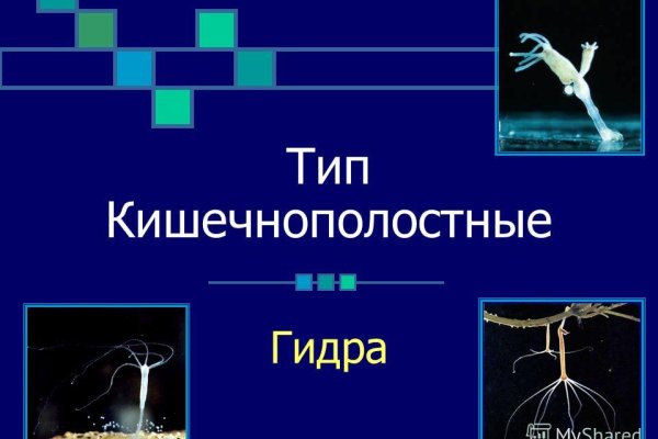 Кракен это даркнет