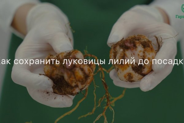 Кракен даркнет плейс