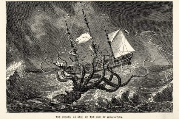 2kr kraken