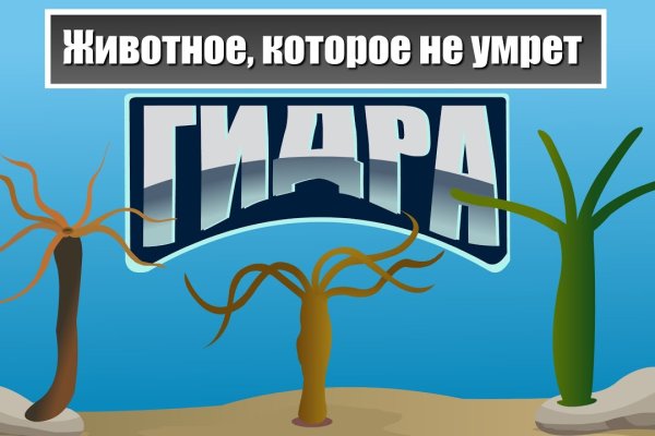 Кракен маркетплейс москва видео