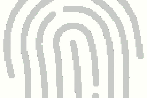 Kraken17at