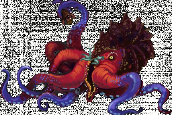 Kraken 19 at