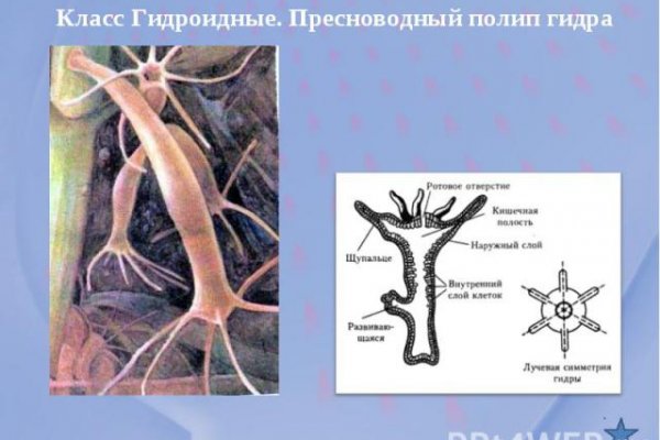Кракен купить меф