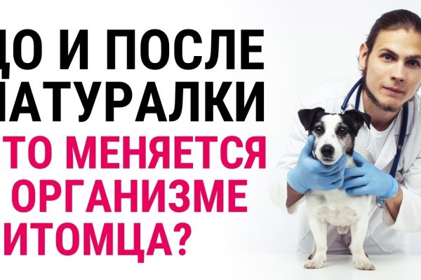 Как войти на сайт кракен