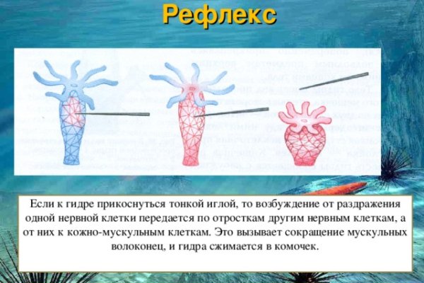 Нарко сайт кракен